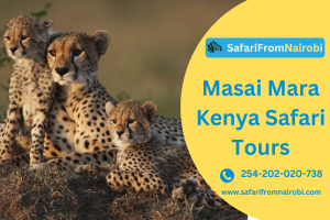 Masai Mara Kenya Safari Tours