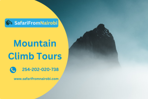 Mountain Climb Tours