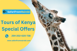 Tours of Kenya Special Offers